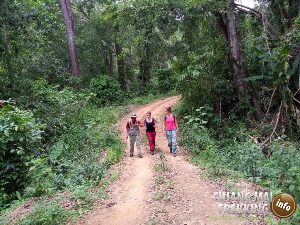 Natalie & friend | Chiang Mai Trekking | Le meilleur trekking à Chiang Mai avec Piroon Nantaya